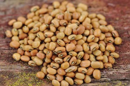 All About Cowpeas Image